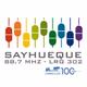 Logo de Radio Sayhueque