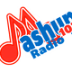 Logo de Mashup 102 Radio