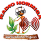 Logo de Radio Hormiga.us