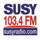 Logo de Susy Radio 103.4