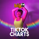 Logo de bigFM TikTok Charts