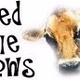Logo de Feed The Cows Radio