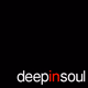 Logo de DeepInSoul