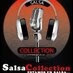 Logo de Salsa Collection WG