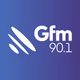 Logo de GFM
