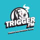 Logo de Trigger.FM
