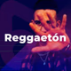 Logo de El botón - Raggaetón