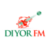 Logo de Diyor FM