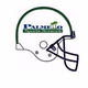 Logo de Palmetto Sports Network