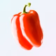 Logo de Radio Squallor