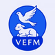 Logo de Radio VEFM