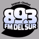 Logo de FM Del Sur 89.3