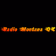 Logo de Radio Montana QC