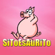 Logo de EsAuRiRaDio