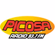 Logo de Radio Picosa