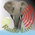 Logo de Radio Lwo