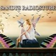 Logo de Sandys Radiostube