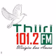 Logo de Thiiri 101.2FM