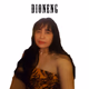Logo de DIONENG RADION STATION