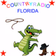 Logo de Oldieradio Florida - Countryradio Florida