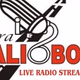 Logo de Suara Malioboro FM