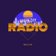Logo de Hidden City Radio