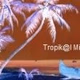 Logo de Tropikal Mixx
