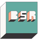 Logo de BSR