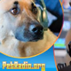 Logo de PetRadio.Org