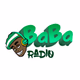 Logo de BaBa Radio