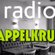 Logo de Radio Pappelkrug