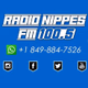 Logo de Radio Nippes FM 100.5
