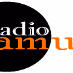 Logo de Radio Tamurt French