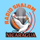 Logo de Radio Shalom Nicaragua