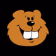 Logo de 106.3 The Beaver - WBVR-FM
