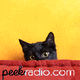 Logo de Peekradio