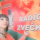 Logo de Radio Zvecka 97.7