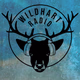 Logo de Wildhart Radio
