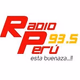 Logo de Radio P 93.5