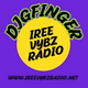 Logo de Iree Vybz Radio