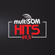 Logo de Multisom Hits 89.5