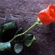 Logo de LA Radio Romantica