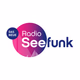 Logo de Radio Seefunk - Die besten Rocksongs