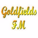 Logo de Goldfields FM 99.1 FM