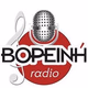 Logo de Βορεινή Radio
