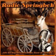 Logo de Radio Springbok Germany