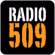 Logo de Radio 509