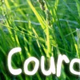 Logo de Webradio Courant
