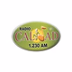 Logo de RCN - Radio Calidad Cali