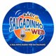 Logo de Rádio Salgadinho FM